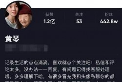爆料黄琴的视频,揭秘娱乐圈惊人内幕