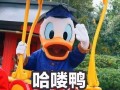 娱乐圈吃瓜鸭微博,揭秘明星幕后故事