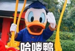 娱乐圈吃瓜鸭微博,揭秘明星幕后故事