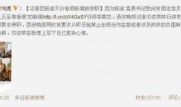 记者最新爆料新闻报道视频,记者最新爆料，新闻报道视频背后的惊人真相
